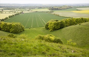 Chalk escarpment scarp slope, Pewsey Downs chalk grassland, Vale of Pewsey, Wiltshire, England, UK