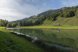 Alpine pasture at Lecknersee, humpback meadow, water reflection, municipality of Dornbirn,