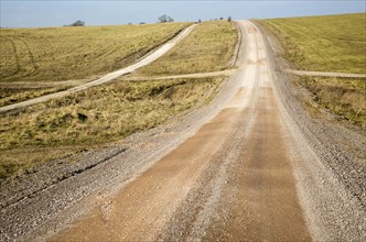 Unsurfaced road track crossing chalk landscape scenery near Chitterne, Salisbury Plain, Wiltshire,