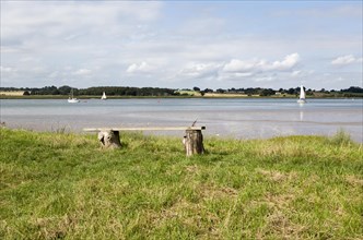 Summer landscape view of bench overlooking sailing boats on River Deben estuary, Sutton, Suffolk,