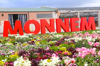 BUGA (Federal Garden Show) Mannheim 2023: The word MONNEM is written in large letters in Spinelli
