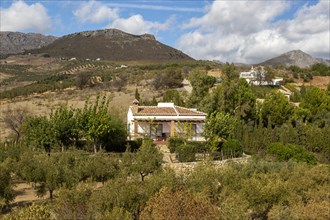 Landscape of scattered houses and limestone mountains view from Zalia, La Axarquia, Andalusia,