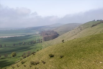 Fog clearing from chalk downs scarp slope Pewsey Vale, near Knap Hill, Alton Barnes, Wiltshire,