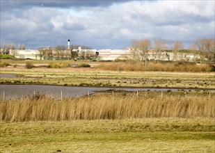 Wetland marshes landscape next to HMP Warren Hill prison, Hollesley Bay, Suffolk, England, UK