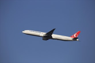 A Turkish Airlines passenger aircraft takes off from Frankfurt Airport