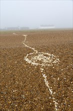 Coastal fog adds mystery to a line of white shells crossing pebble beach, Shingle Street, Suffolk,