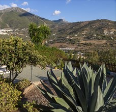 View over garden small hotel view to Alcaucin vitally and Maroma mountain upper left, Sierra de