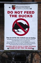Do not feed the ducks sign notice picture of a rat, Halesworth Town Council, Suffolk, England,