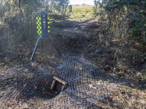 Eviction of badgers clearance of badger sett using metal fencing and one way exit gates, part of