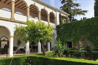 Palacio de Generalife, Moorish architecture, gardens with water features, Alhambra, Granada, Spain,