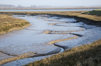 Meanders in muddy channel River Deben low tide, near Falkenham, Suffolk, England, UK