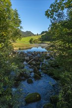 Leckner Ach, Lecknersee, humpback meadow, water reflection, municipality of Dornbirn,