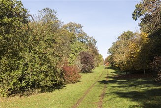Pathway through National arboretum, Westonbirt arboretum, Gloucestershire, England, UK