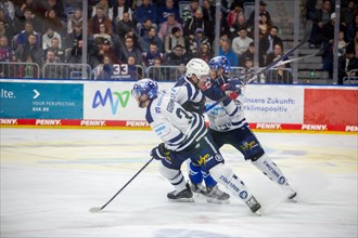 26.01.2024, DEL, German Ice Hockey League, Matchday 41) : Adler Mannheim against Iserlohn Roosters