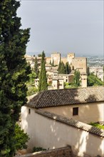 Generalife Gardens, Alhambra, Granada, Spain, Europe