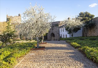 Garden inside historic castle medieval village of Marvao, Portalegre district, Alto Alentejo,