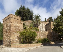 Historic defensive walls of Moorish fortress palace Alcazaba, Malaga, Andalusia, Spain, Europe