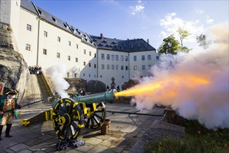 Koenigstein Fortress in Saxon Switzerland. A cannon belonging to the Koenigstein Fortress, built in