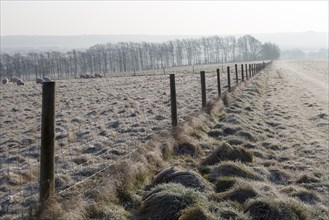 Frosty fence leading downhill from Windmill Hill, a Neolithic causewayed enclosure, near Avebury,