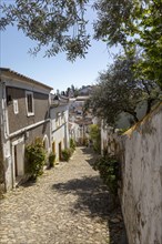 Cobbled street in Judiara the former Jewish part of Castelo de Vide, Alto Alentejo, Portugal,