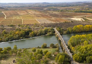 View over fields of grapevines and medieval bridge crossing River Ebro, San Vicente de la
