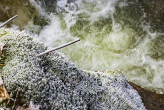 Severe frost has formed bizarre ice formations in the riverbed of the Gottleuba. Frozen spray
