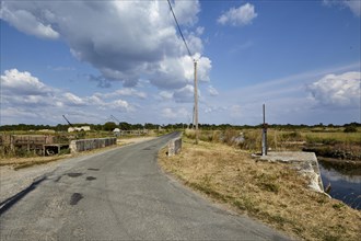 Road with a bridge and canals for oyster farming through a landscape in Saint-Pierre-d'Oleron,