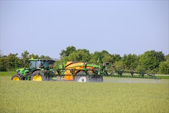 A farmer drives his tractor with a crop protection sprayer across his wheat field to combat brown