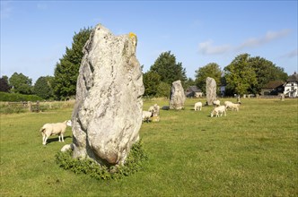Standing stones in south east quadrant neolithic stone circle henge prehistoric monument, Avebury,