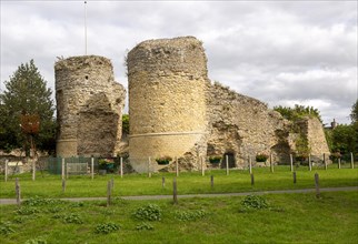 Historic ruins walls and towers of Bigod's Castle, Bungay, Suffolk, England, UK Norman castle built