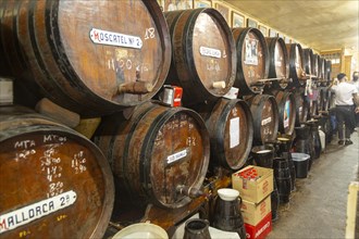 Antigua Casa Del Guardia traditional wine bar Malaga, Andalusia, Spain barrels of sherry and wines