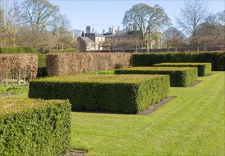 Garden designed by Piet Oudolf at Scampston Hall, Yorkshire, England, UK, Spring Box Garden