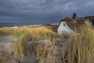 House in the dunes, Ahrenhoop, Darss, Germany, Europe