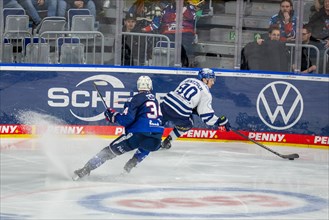 26.01.2024, DEL, German Ice Hockey League, Matchday 41) : Adler Mannheim vs Iserlohn Roosters (In