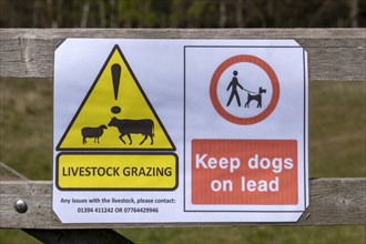 Macro close up of Livestock Grazing, Dogs on Lead Please sign on fencepost, Sutton, Suffolk,