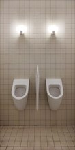 Two urinals in the men's toilet, Krefeld, Lower Rhine, North Rhine-Westphalia, Germany, Europe