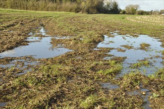 Flooded agricultural plot preventing reseeding