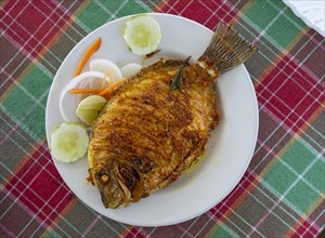 A traditional Kerala fried fish dish, the Pearl Spot (Etroplus suratensis), locally known as