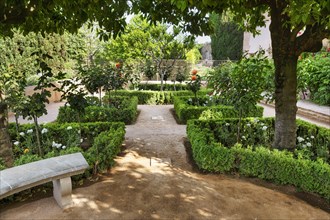 Gardens, arabic, islamic, oriental, light and shadow, Generalife Gardens, Alhambra, Granada, Spain,