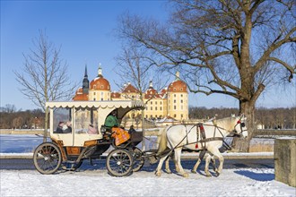 Carriage ride at the baroque hunting lodge Moritzburg, Moritzburg, Saxony, Germany, Europe
