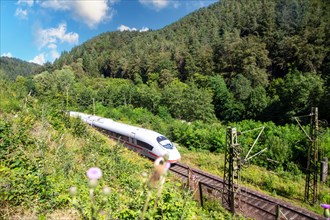 ICE (Intercity Express) in the Palatinate Forest. The train is on its way from Frankfurt to Paris.