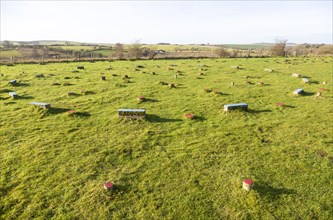 Concrete post markers at neolithic The Sanctuary prehistoric site, Overton Hill, Wiltshire,