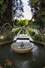 Water features in gardens, arabic, islamic, oriental, horticulture, Generalife Gardens, Alhambra,