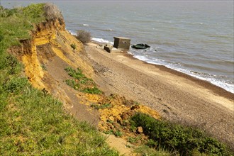 Soft cliffs rapid coastal erosion on North Sea coastline, coast at Bawdsey, Suffolk, England, Uk