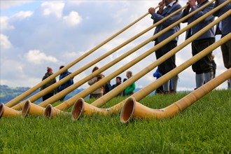 Alphorn players in Bavaria Germany . The alphorn is a traditional wind instrument in the Alps