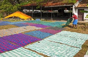 A man spreads colorful fabrics to dry on the grass at Dhobi Khana Public Laundry, Fort Kochi,