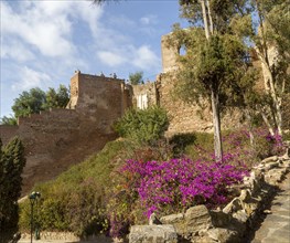 Historic walled defences to Moorish citadel fortress palace of the Alcazaba, Malaga, Andalusia,