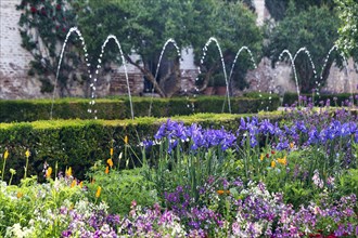 Splendour of flowers in spring, historic gardens, water features, Generalife Gardens, Alhambra,