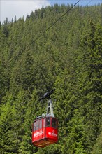 A red cable car gondola hovering over dense fir trees in a mountain forest, Balea Cascada cable car