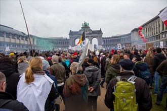 Brussels, 23 January: European demonstration for democracy, organised by the Europeans United
